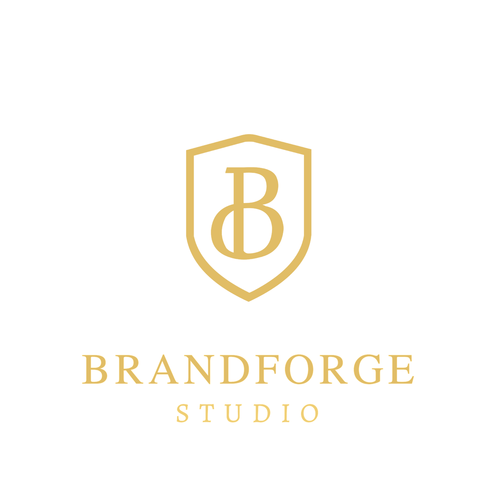 BrandForge Studio